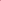  RANI PINK 