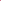  RANI PINK 